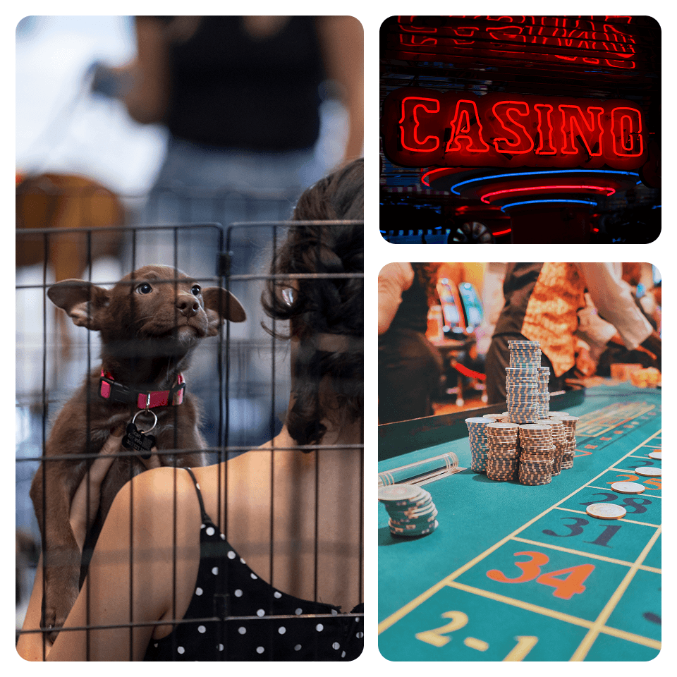 Paws and Payouts Sponsored by PayPal